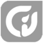 car brand