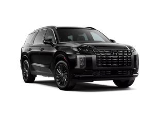 2025 Hyundai Palisade XRT AWD 2025 Hyundai Palisade XRT AWD